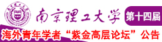 尻屄网站在线观看南京理工大学第十四届海外青年学者紫金论坛诚邀海内外英才！